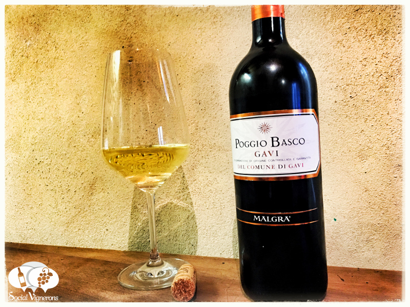 2016-Malgra-Poggio-Basco-Gavi-del-Cummune-di-Gavi-DOCG-white-wine-Piedmont-Italy.jpg