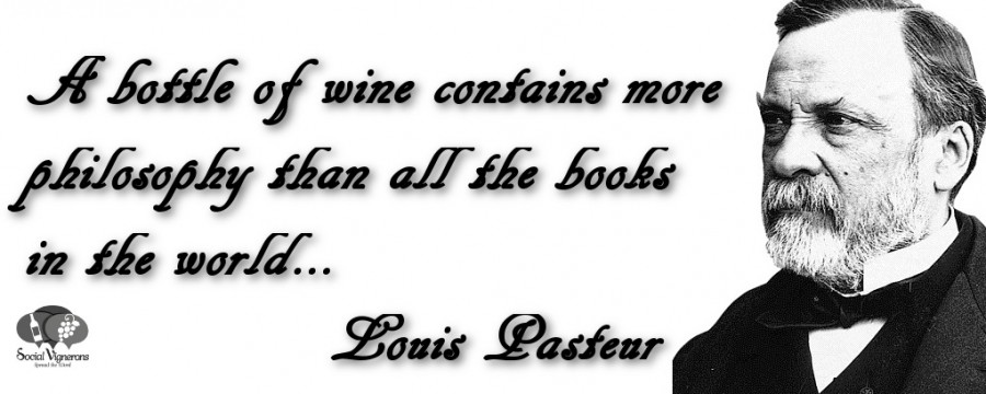 Wine Quote: Louis Pasteur & the Wine Philosophy