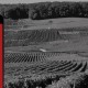 Mobile App to Explore 1400 Burgundy Vineyards: CLIMAVINEA