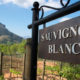 Infographics & Guide to Sauvignon Blanc Wine Grape Variety