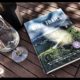 Wine Travel Book: Wine Trails by Lonely Planet