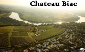 Chateau Biac Cadillac Cotes de Bordeaux Garonne River Vineyard Landscape Social Vignerons