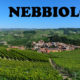 Quick Guide to Nebbiolo Grape Variety & its Italian Wine Regions