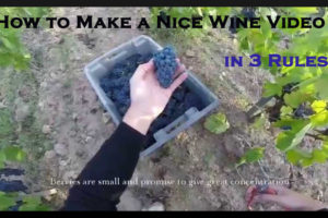How to Make a Nice Wine Video in 3 Rules?