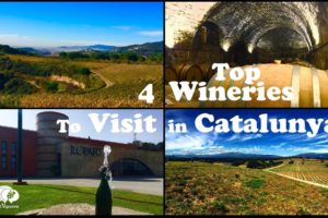 4 Top Wineries to Visit in Catalunya