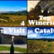 4 Top Wineries to Visit in Catalunya