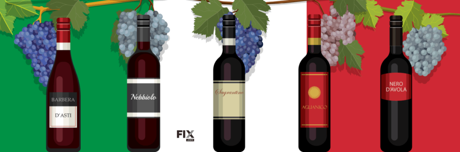 Quick Infographic Guide to Italian Red Wine Grape Varieties