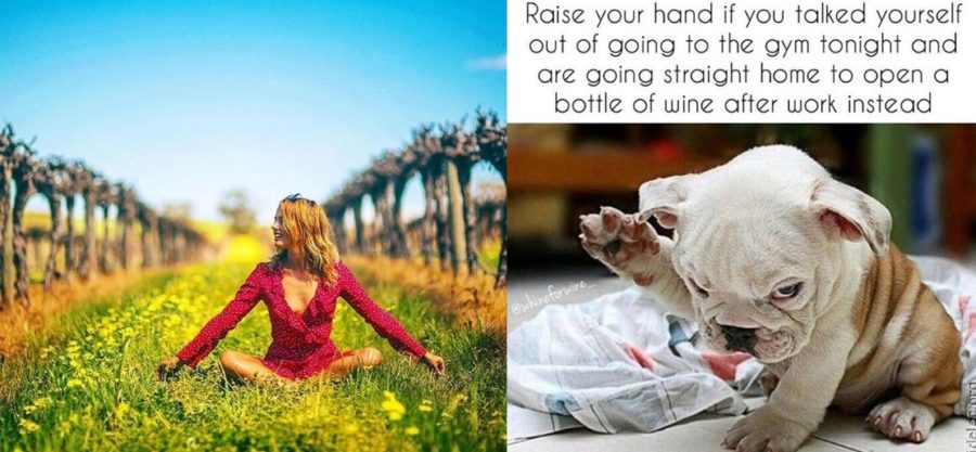 Raise your Hand for Wine !!