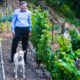 Drought-Tolerant Labor of Love: What I Learned By Creating My Own Vineyard By Scott MacDonald