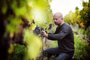 Church Road Winery’s Chris Scott named New Zealand 2016 Winemaker of the Year