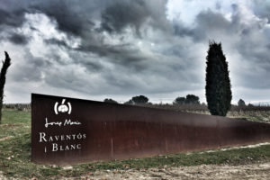 Wine Trip to Visit Raventós i Blanc: Catalan Fine Sparkling Wine Producer