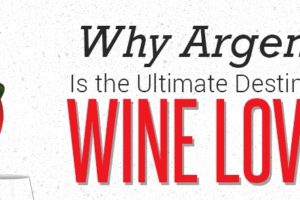 10 Reasons to fall in Love with Argentine Wines