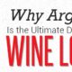 10 Reasons to fall in Love with Argentine Wines