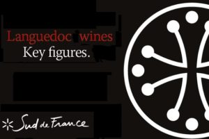 Languedoc-Roussillon Infographics: Biggest Wine Region in the World!?!