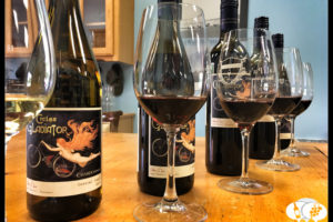 Cycles Gladiator Wines: The Story behind Great Value Central Coast Wines