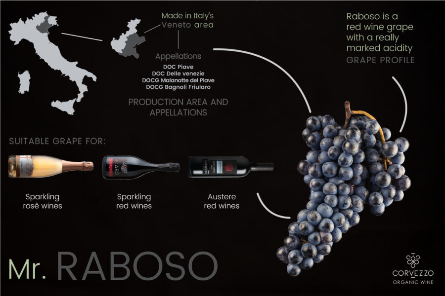 Raboso Wine Grape Variety