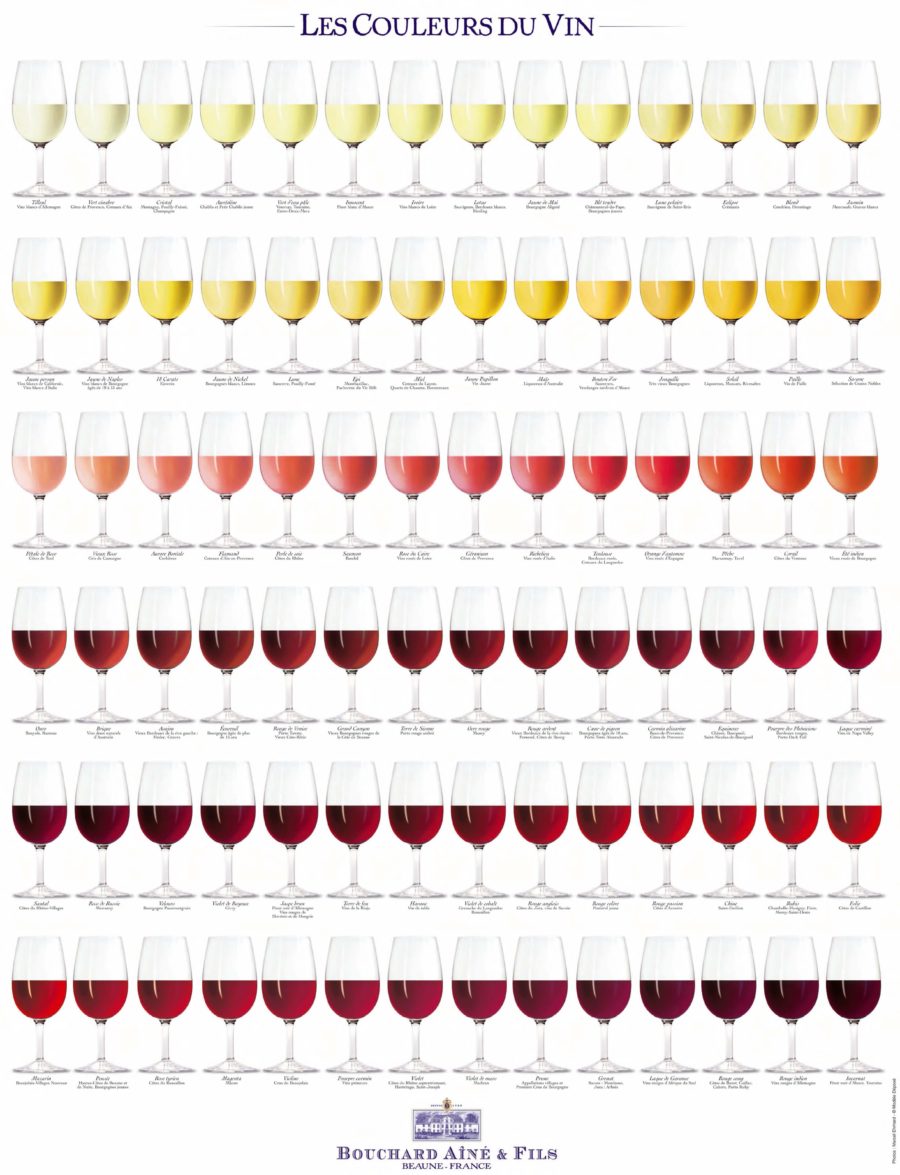 Wine Color – Complete Visual Guide