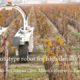 Will Electric Robots be the Future of Viticulture?