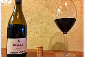 2016 Domaine Moutard Sulfite-Free Irancy La Croix Bouteix Pinot Noir, Burgundy
