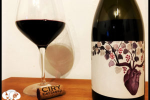 Stunning Languedoc Malbec: Sang Neuf by Ciry Cattaneo