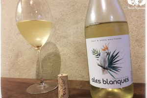 How Good is Terra Remota Ales Blanques White?