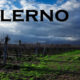 The modern comeback of Ancient Rome’s legendary wine: Falerno