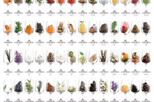 Top 100 Aromas in Wine – A to Z