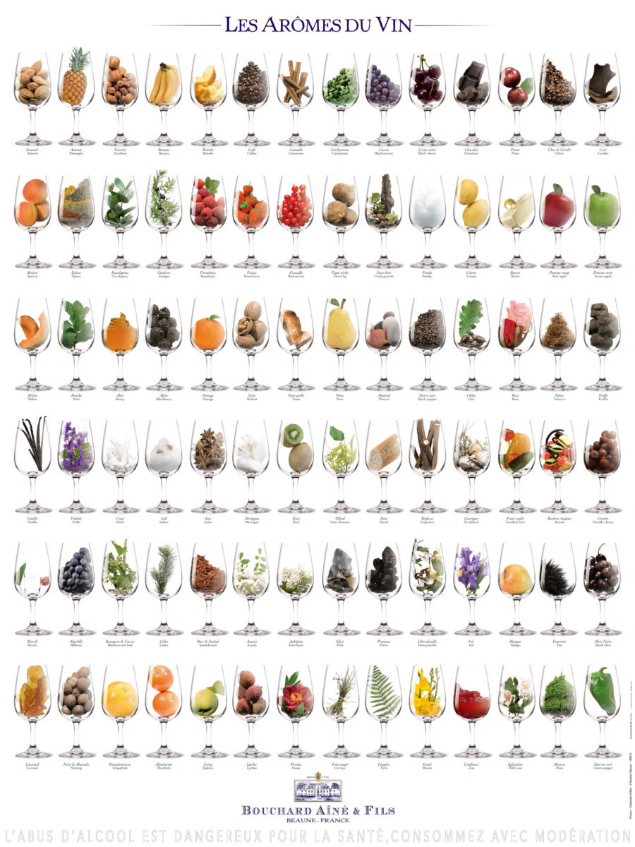 Top 100 Aromas in Wine – A to Z