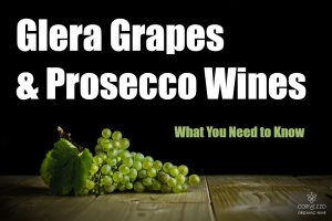 The Glera Grape behind Prosecco Wine in 1000 Words