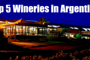 Top 5 Wineries in Argentina