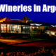 Top 5 Wineries in Argentina