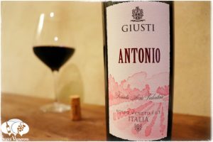 How Good is Giusti Antonio Red?