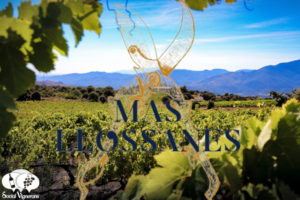 The Roussillon Wines of Mas Llossanes