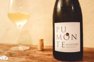 How Good is Alzipratu Pumonte Corsica White Wine?