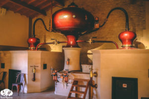 Visiting & Tasting Château Montifaud, Family Cognac Maker since 1866