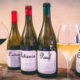 Maison Ventenac: Loire-Style Wines made in Languedoc