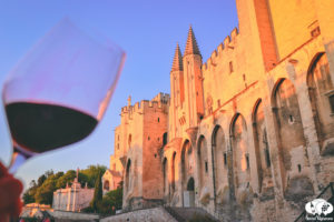 Exploring Wines from the Rhône Valley in Avignon