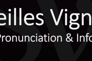 What is Vieilles Vignes Wine? How to Pronounce it?