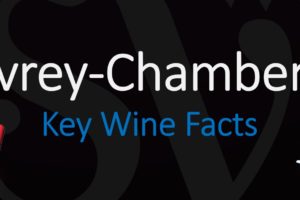 Gevrey-Chambertin: Key Facts about an Iconic Burgundy Wine