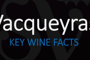 Vacqueyras Wine – Key Facts & Pronunciation