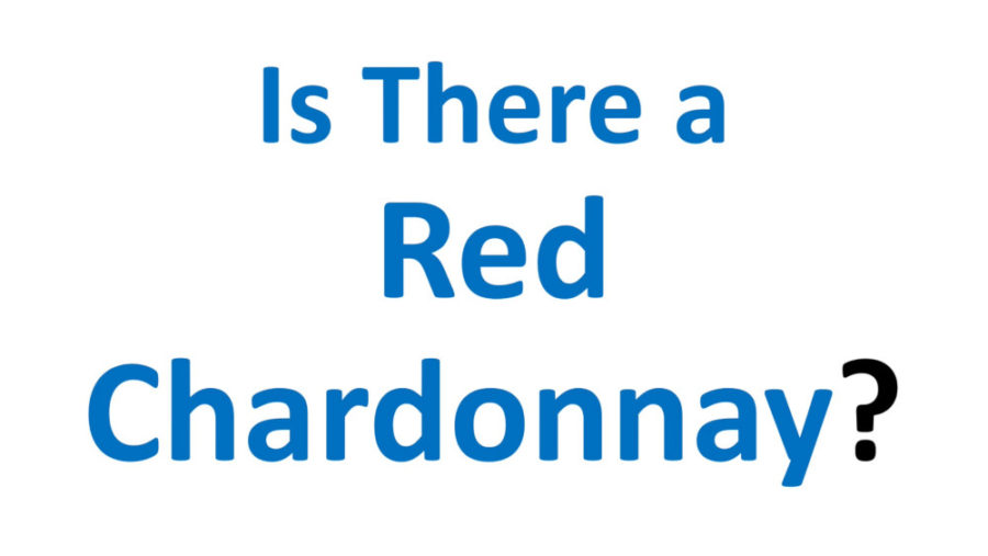 Is there a Red Chardonnay Wine?